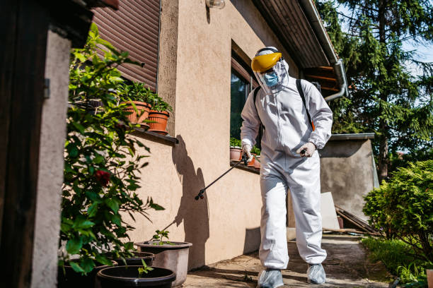 Bird Control in West Bishop, CA