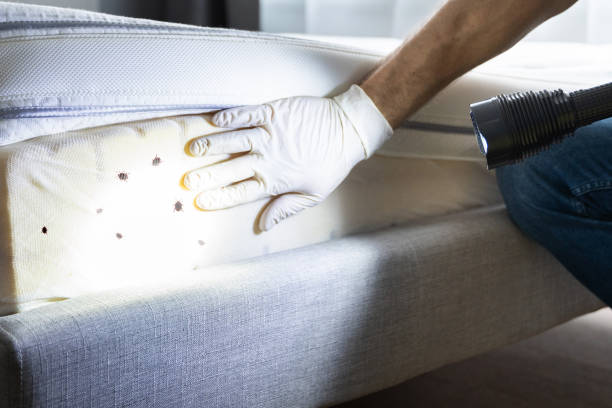  West Bishop, CA Pest Control Pros