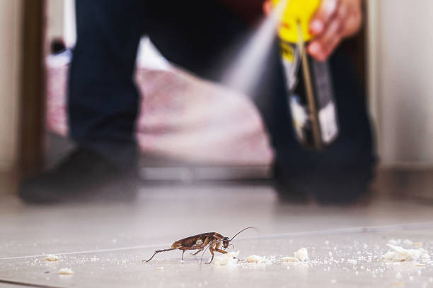 Best Flea Control Services  in West Bishop, CA
