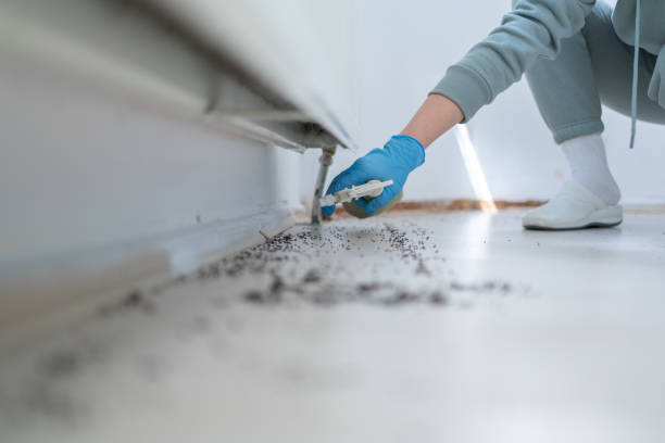 Best Pest Prevention Services  in West Bishop, CA