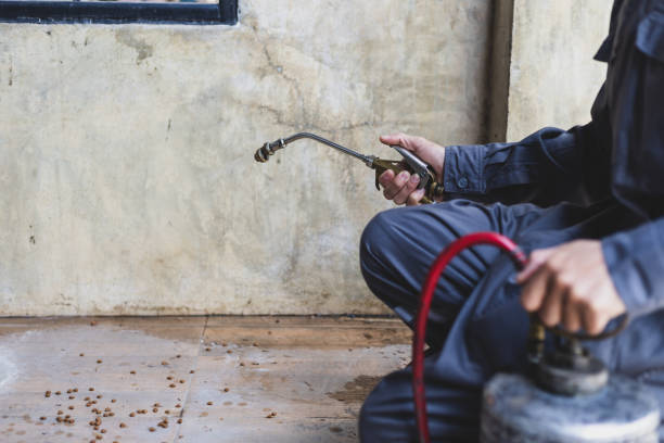 Best Affordable Pest Control Services  in West Bishop, CA